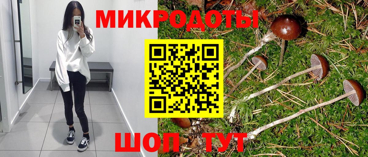 Людиново  Псилоцибиновые грибы прущие грибы  Вход с VPN 